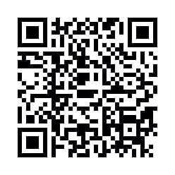 Paytm / PhonePe UPI QR Code